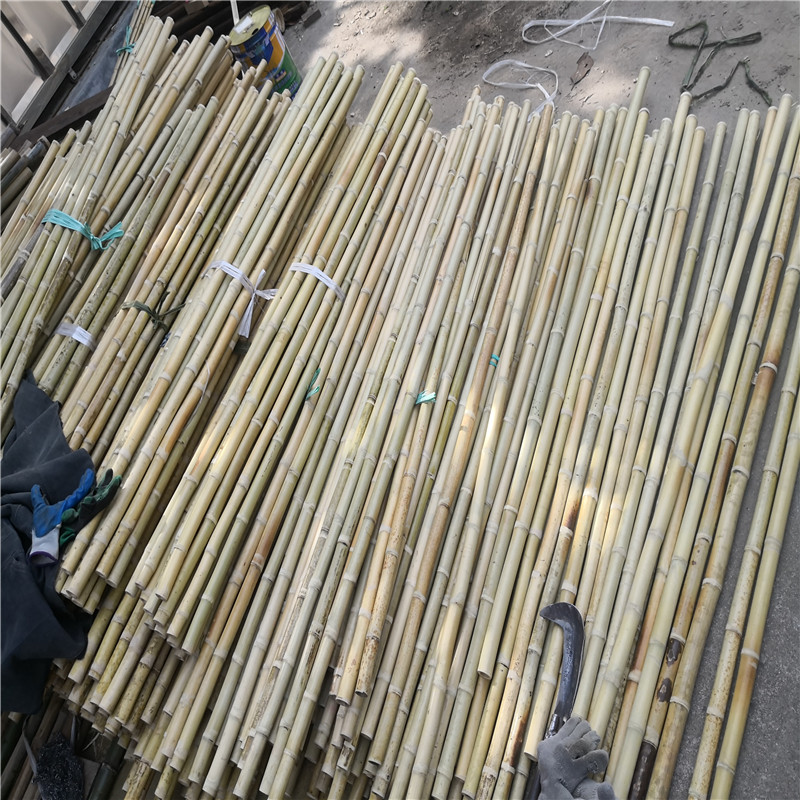 威客电竞池州草坪护栏防腐木栅栏护栏竹篱笆竹子(图3)
