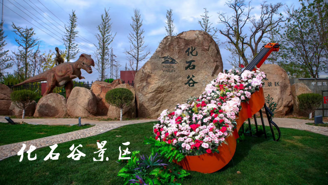 一卡在手说走就威客电竞走(图9)
