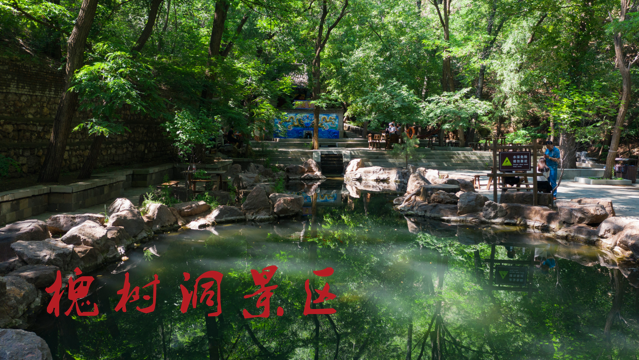 一卡在手说走就威客电竞走(图11)