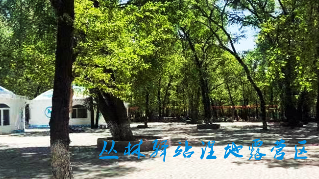 一卡在手说走就威客电竞走(图17)