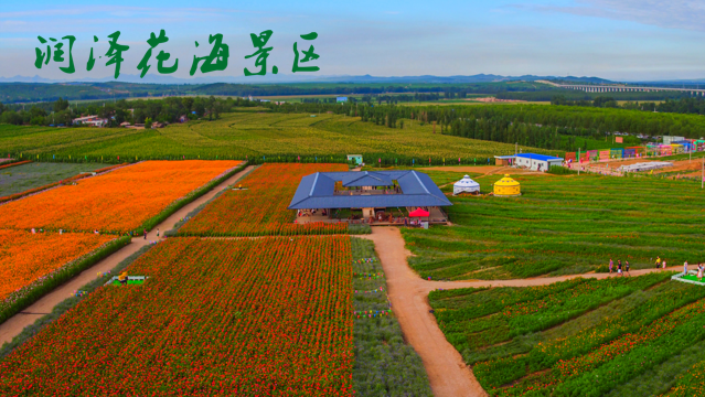 一卡在手说走就威客电竞走(图20)