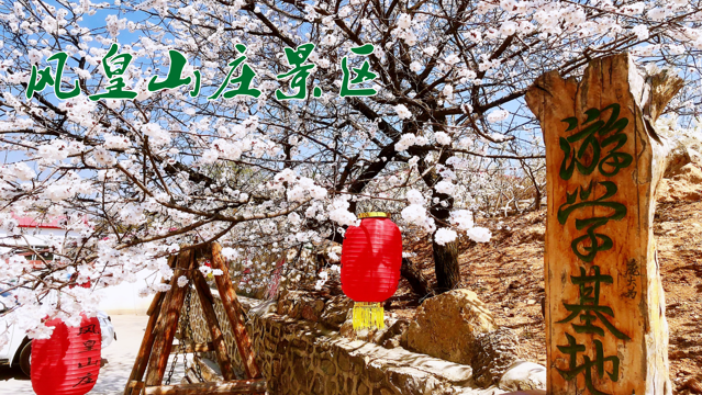 一卡在手说走就威客电竞走(图24)