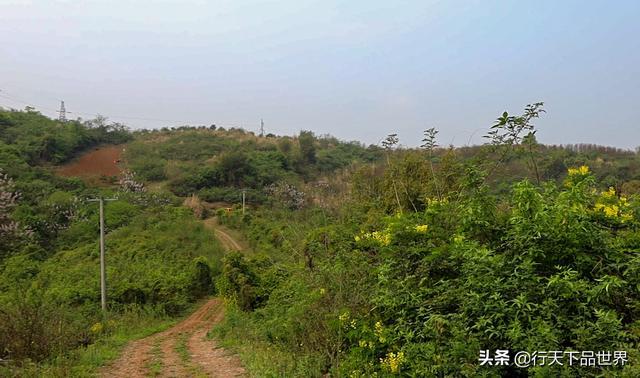 威客电竞探寻湖北长江宜昌段三路方向发现仙人桥揭秘千年传说(图6)