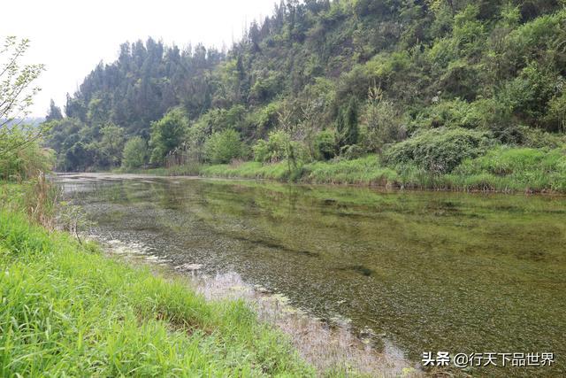 威客电竞探寻湖北长江宜昌段三路方向发现仙人桥揭秘千年传说(图18)