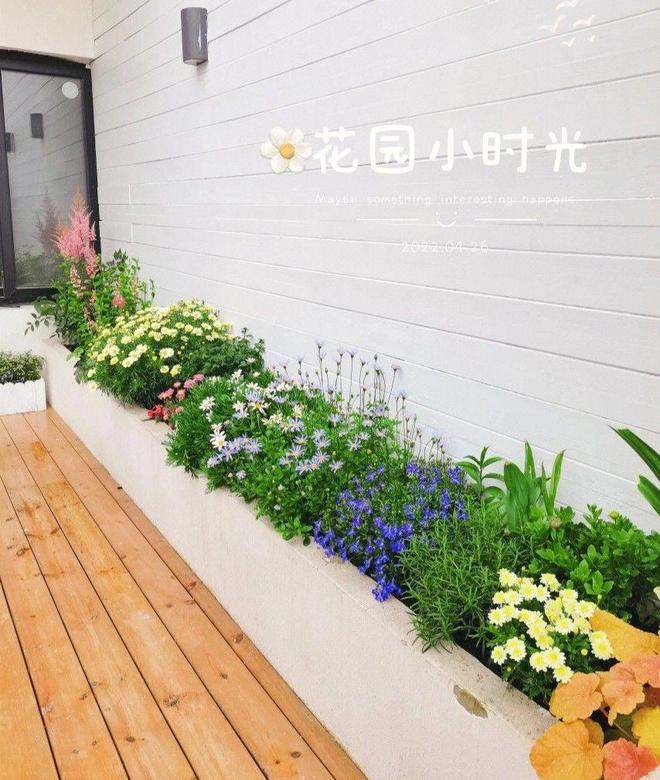 顶楼带露台种花种草晒太阳吹晚风感觉威客电竞住进了空中的花园小别墅(图7)