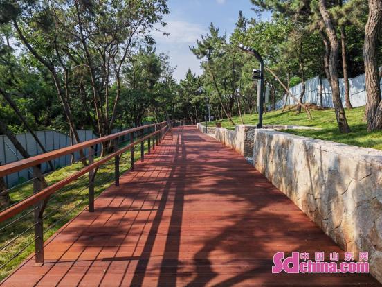 青岛市市南区：一山一策打造威客电竞绿色全民共享(图3)