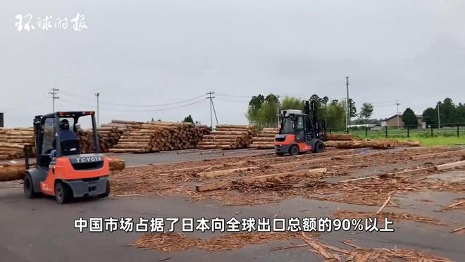 日本环保神线成销往中国曹县做成威客电竞棺材后返售？(图1)