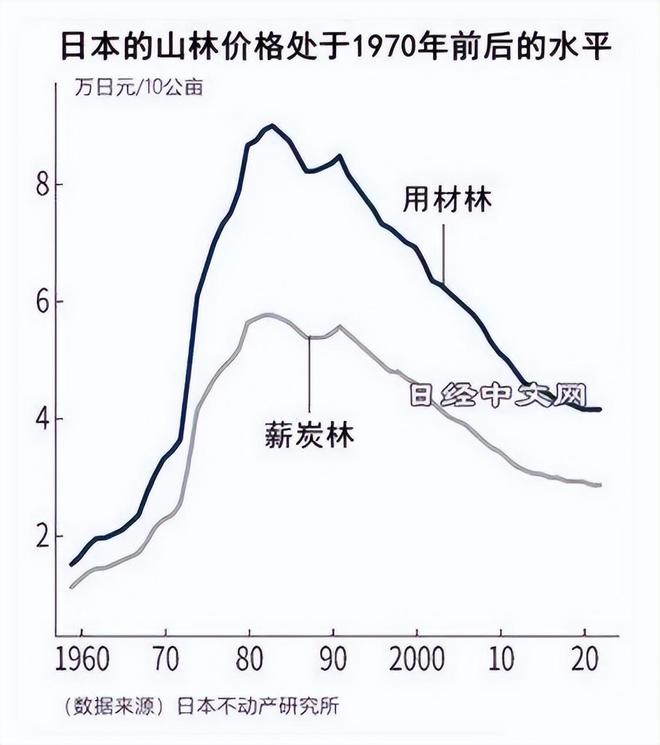 日本环保神线成销往中国曹县做成威客电竞棺材后返售？(图3)