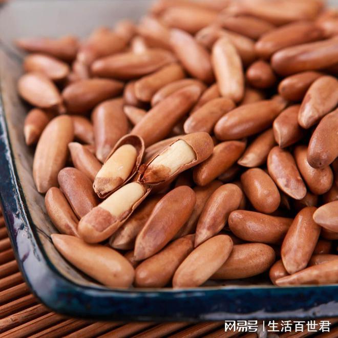 威客电竞公园里的松树为什么没松子？一个从小困惑到大的谜题(图3)