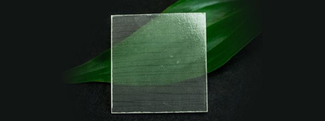 威客电竞透明木材的前世今生(图1)