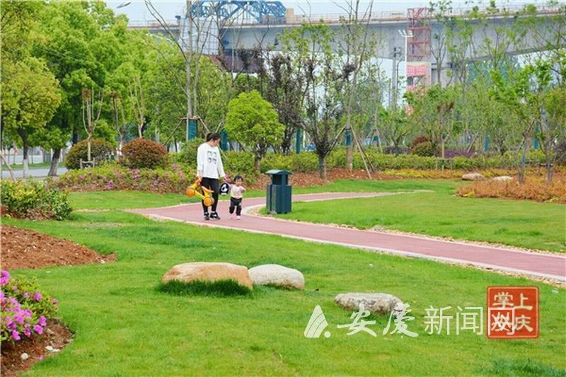 威客电竞木材交易市场搬离后现在怎么样了？一起来看看！(图1)