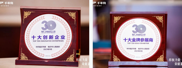 威客电竞沂路同行·巅峰共证丨临沂木业30年千年舟双奖加冕闪耀「中国板材之都」(图3)