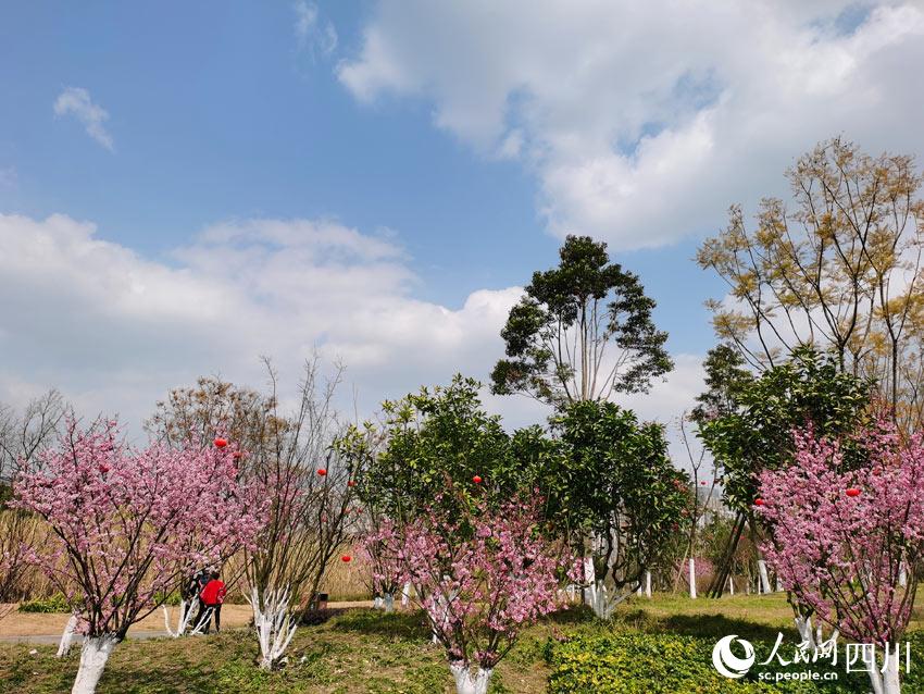 威客电竞成都：公园有文化城市美如画(图1)
