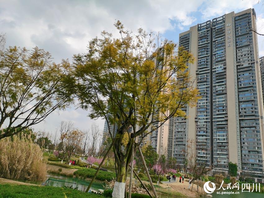 威客电竞成都：公园有文化城市美如画(图2)