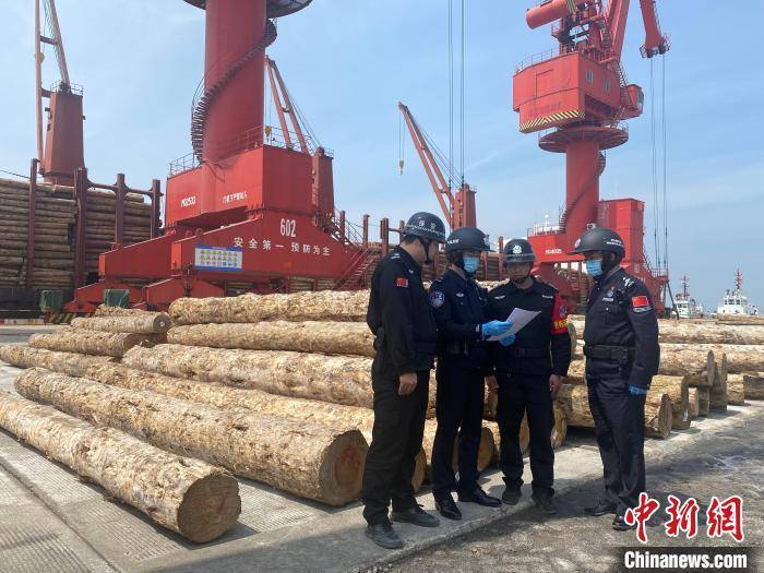 进口威客电竞原木集散地福建莆田向“新”求“质”(图2)