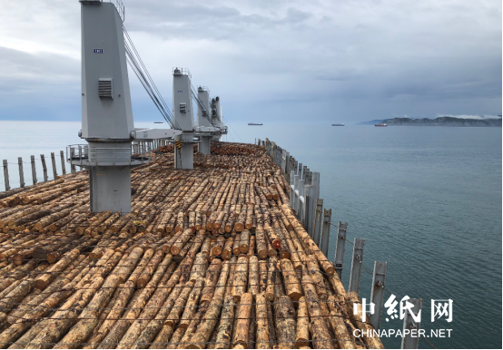 全球木材行业遭受运威客电竞输冲击 中国木材市场压力与潜力并存(图1)