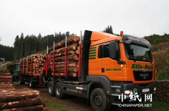 国外调查对俄罗斯木材制裁失效原因 涉及中国等多个第威客电竞三国(图2)