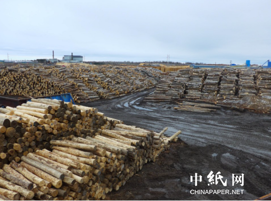 国外调查对俄罗斯木材制裁失效原因 涉及中国等多个第威客电竞三国(图5)