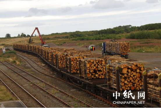 国外调查对俄罗斯木材制裁失效原因 涉及中国等多个第威客电竞三国(图6)